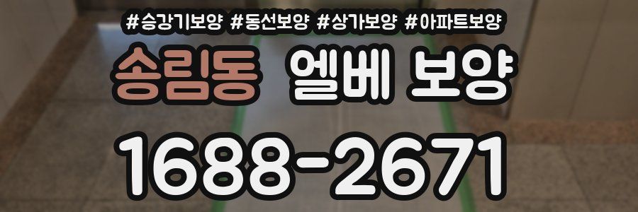 송림동 엘베 보양