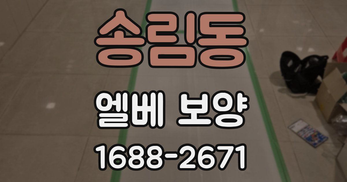 송림동 엘베 보양