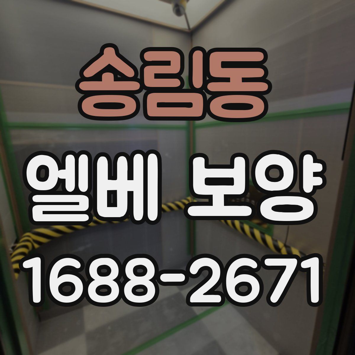송림동 엘베 보양