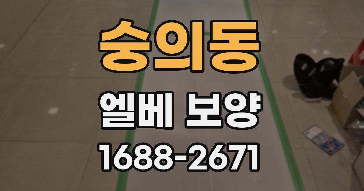 숭의동 엘베 보양