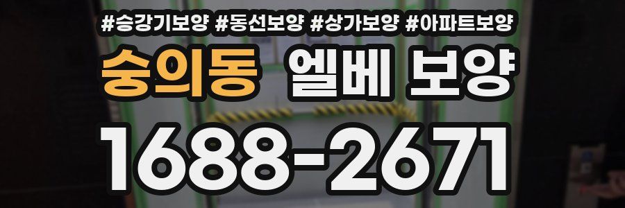 숭의동 엘베 보양