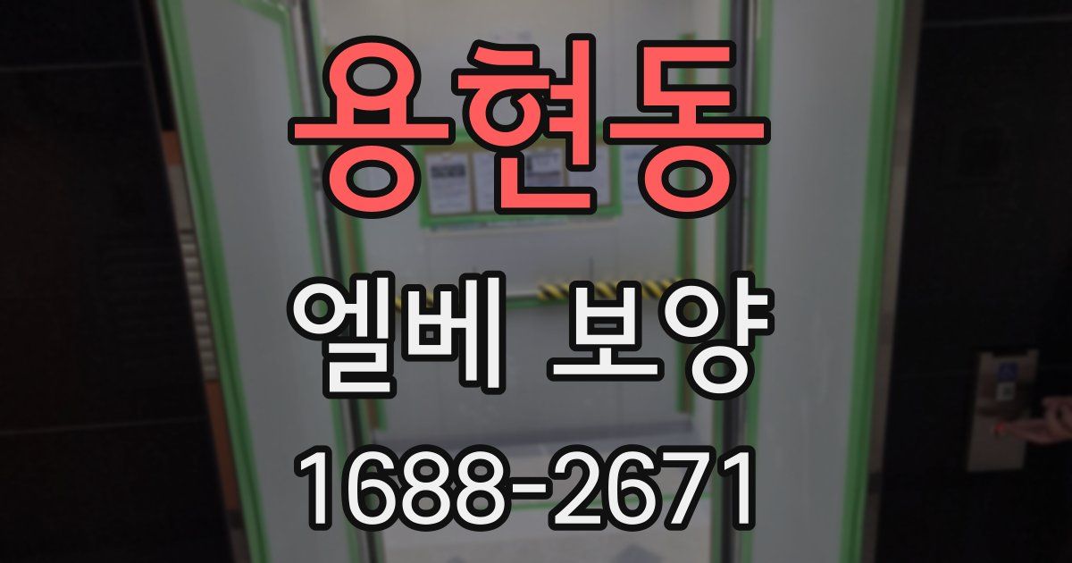 용현동 엘베 보양