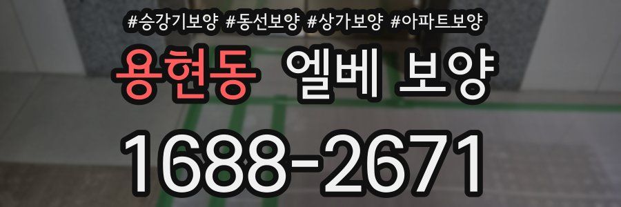 용현동 엘베 보양