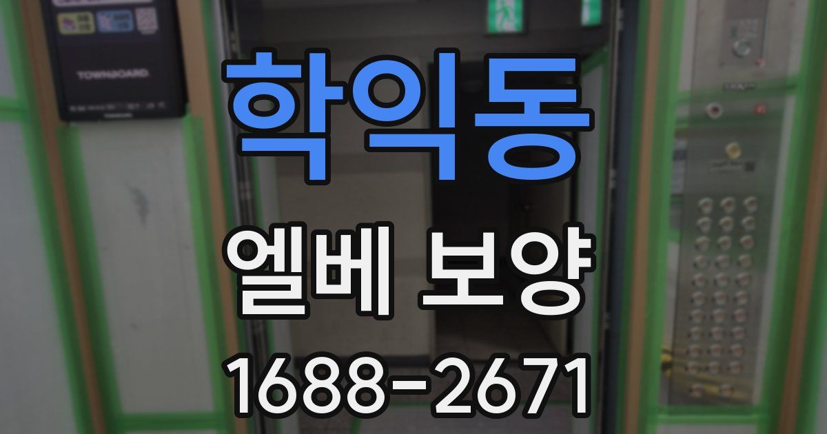 학익동 엘베 보양
