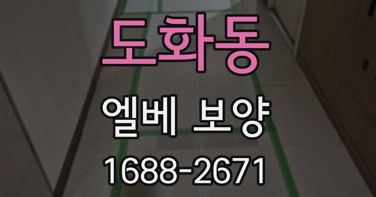 도화동 엘베 보양