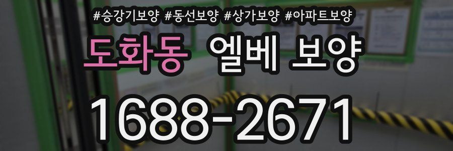 도화동 엘베 보양