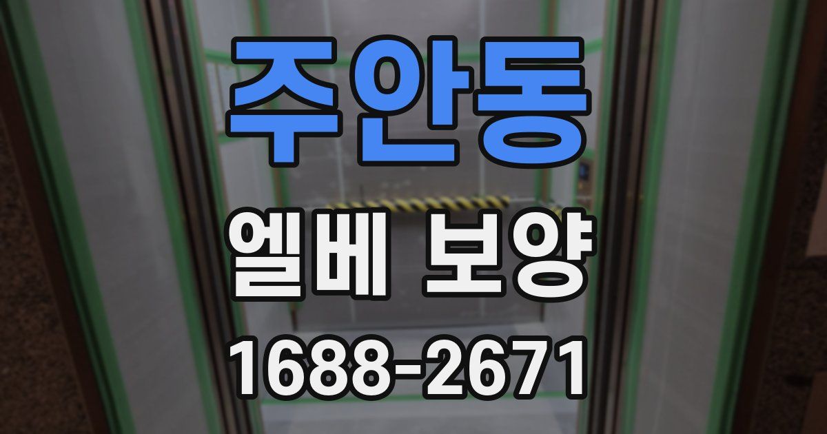 주안동 엘베 보양