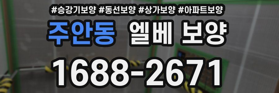 주안동 엘베 보양