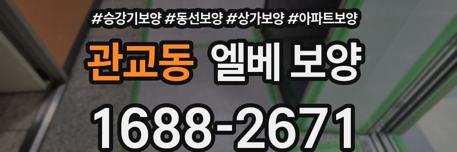 관교동 엘베 보양