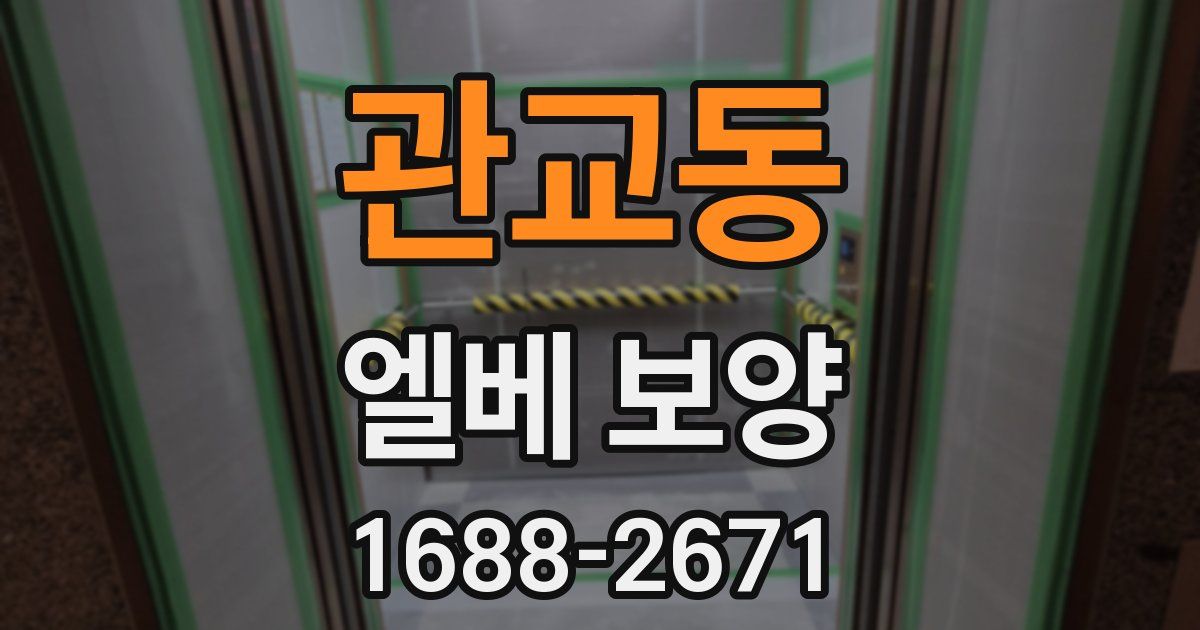 관교동 엘베 보양