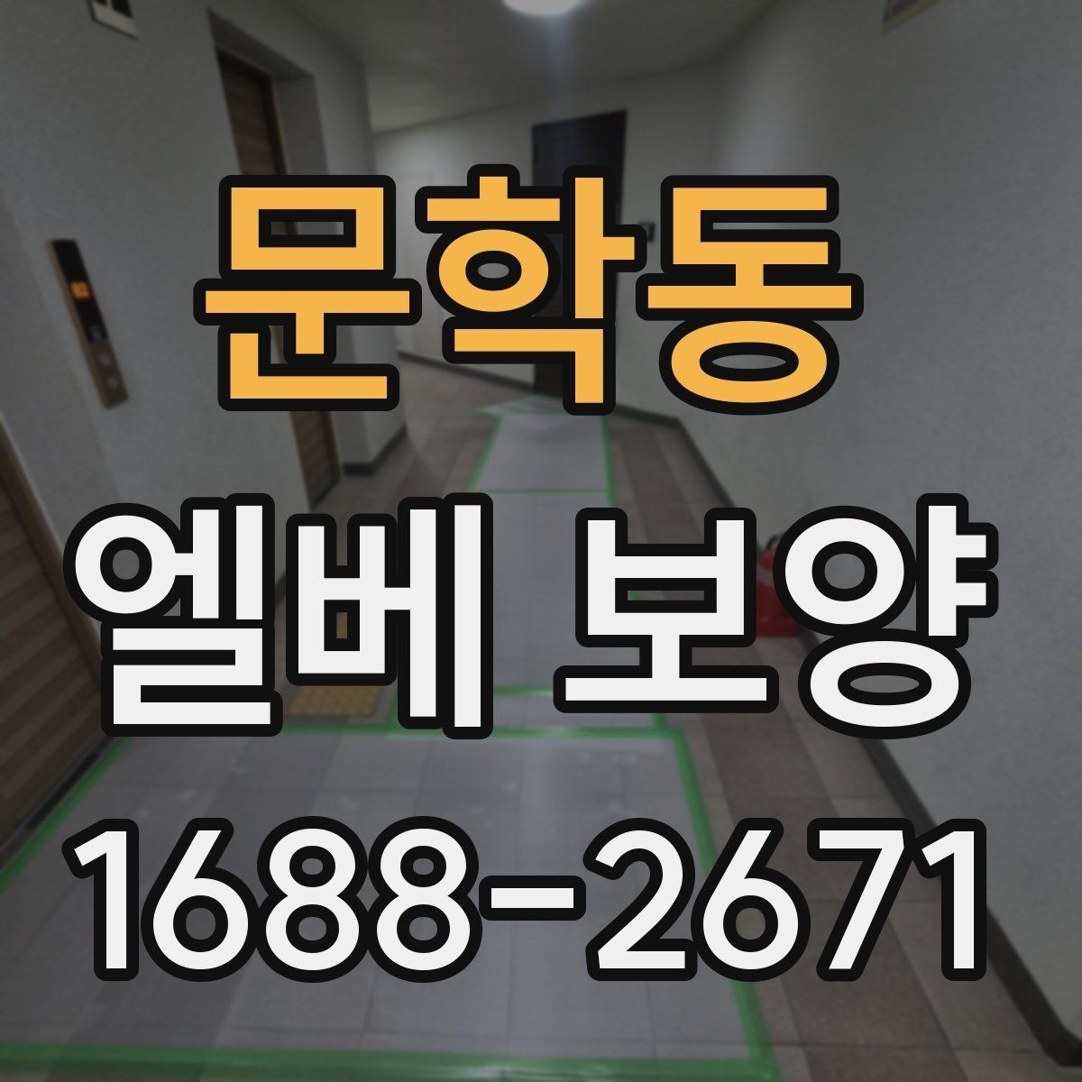 문학동 엘베 보양 보양재 종류별 적용 범위와 선택 기준