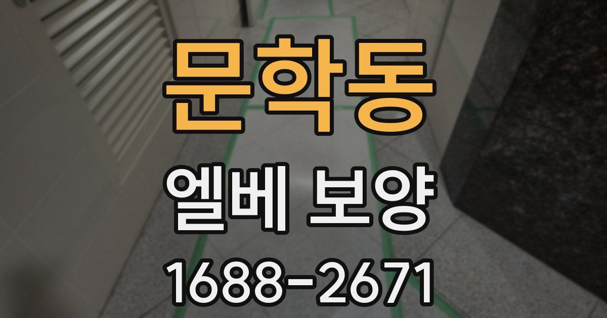 문학동 엘베 보양