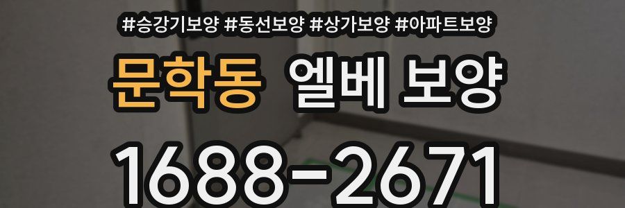 문학동 엘베 보양