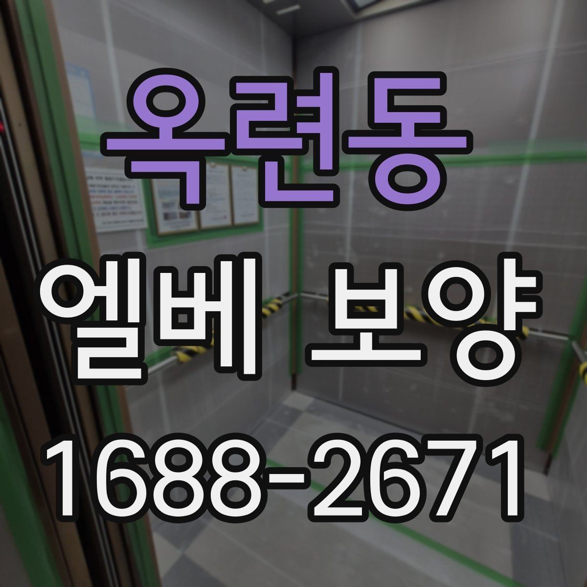 옥련동 엘베 보양 시트 마감에서 자주 하는 실수와 예방법
