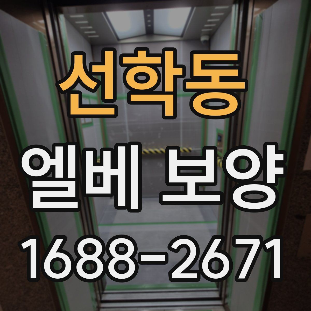 선학동 엘베 보양 현장별 보호 범위와 순서가 달라지는 이유