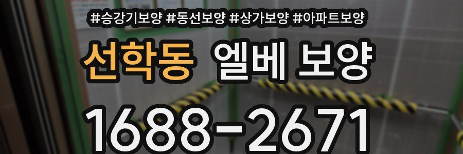 선학동 엘베 보양