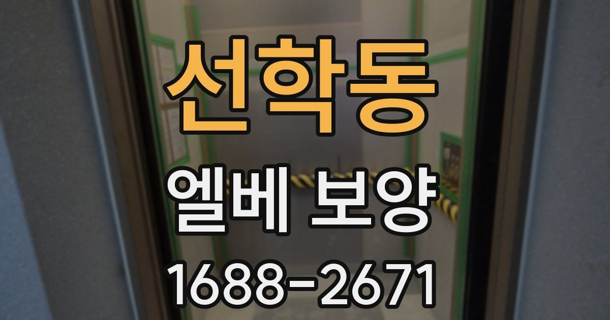 선학동 엘베 보양