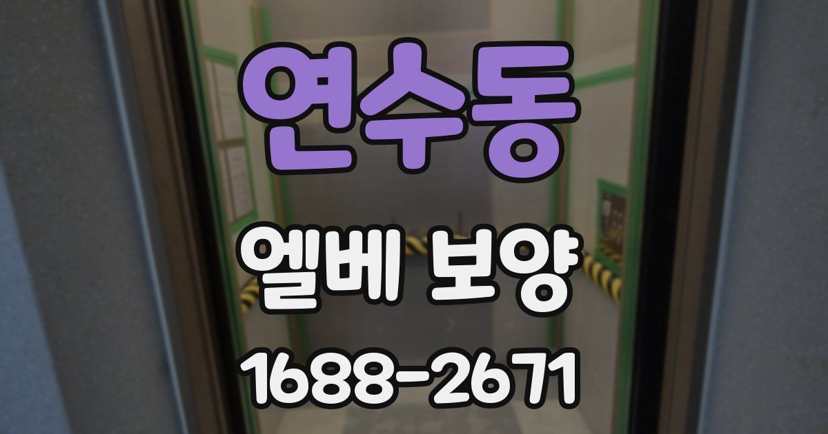 연수동 엘베 보양