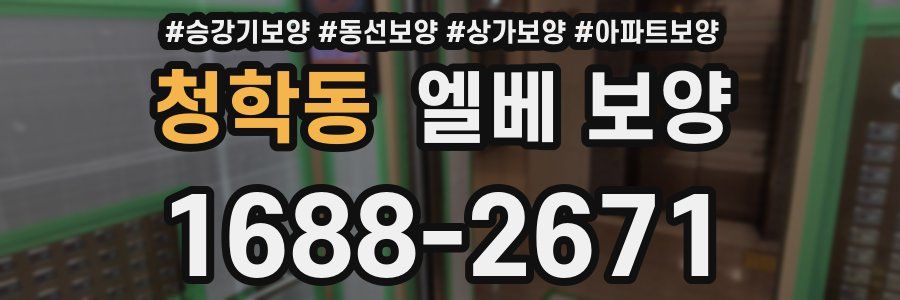 청학동 엘베 보양