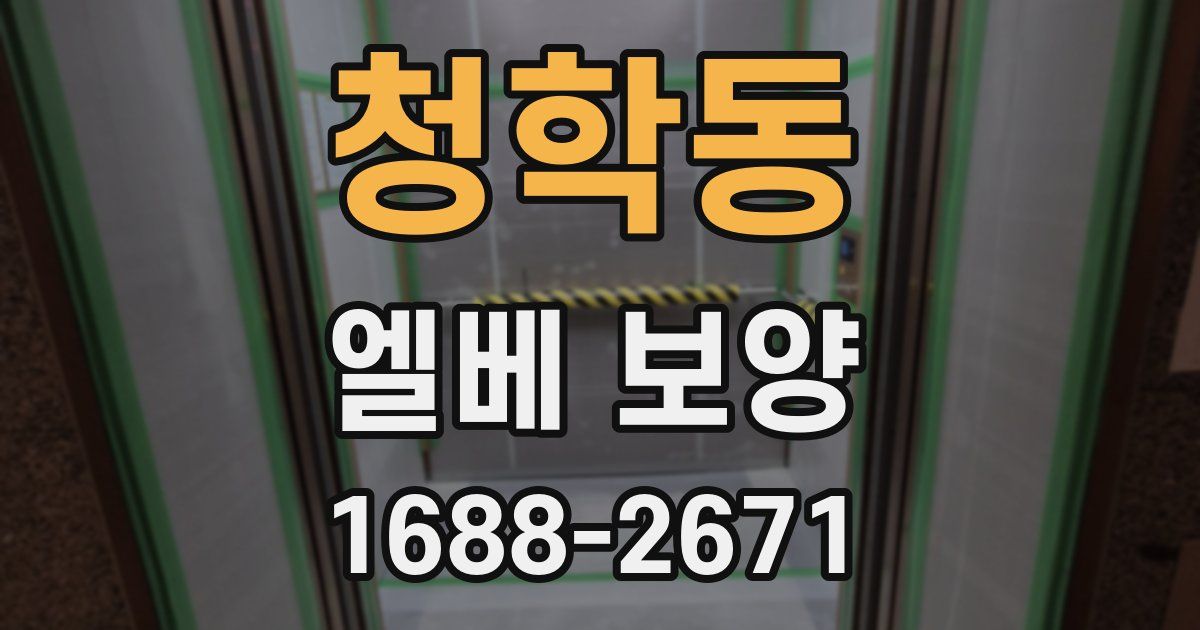 청학동 엘베 보양