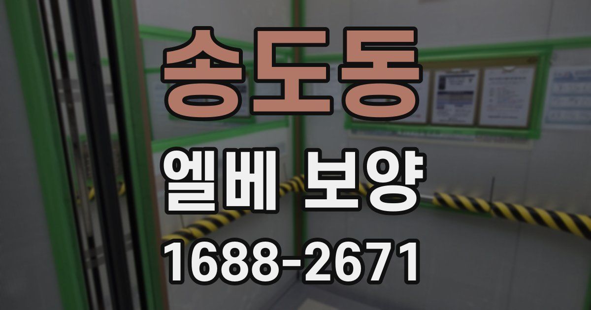 송도동 엘베 보양
