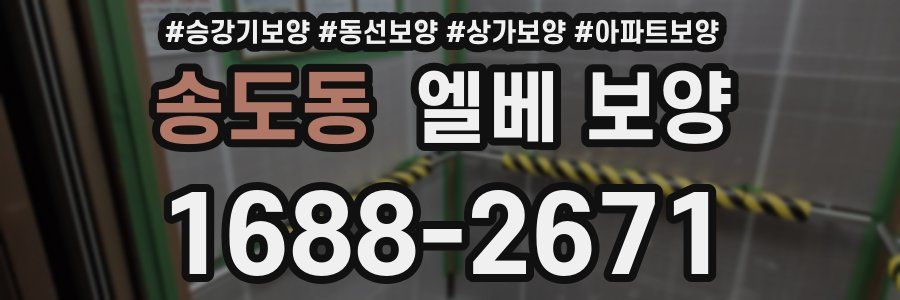 송도동 엘베 보양