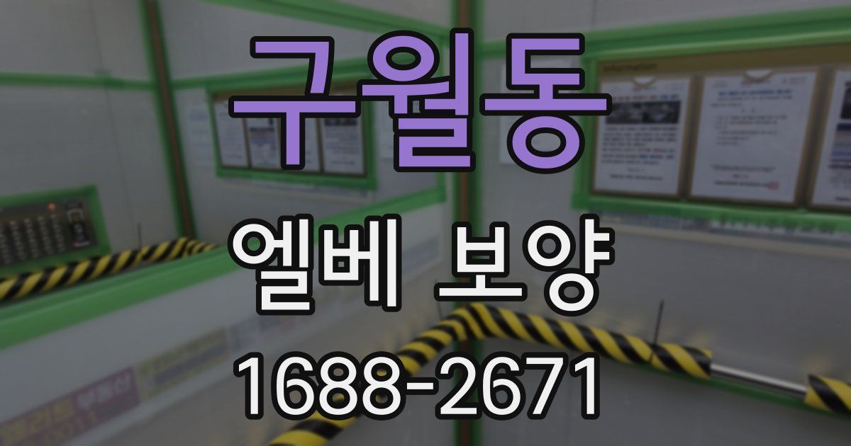 구월동 엘베 보양