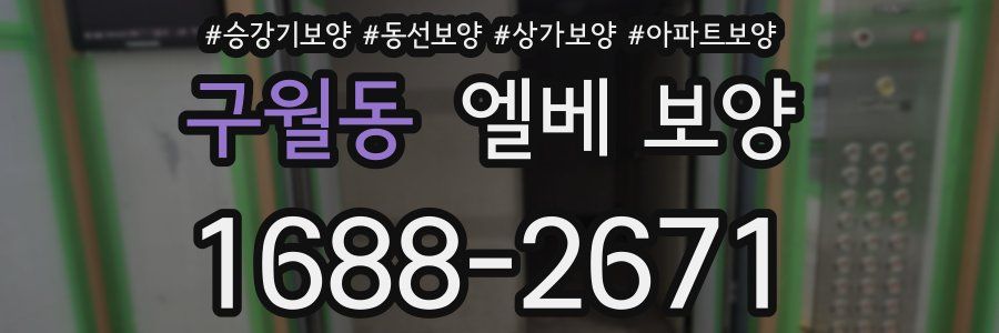 구월동 엘베 보양