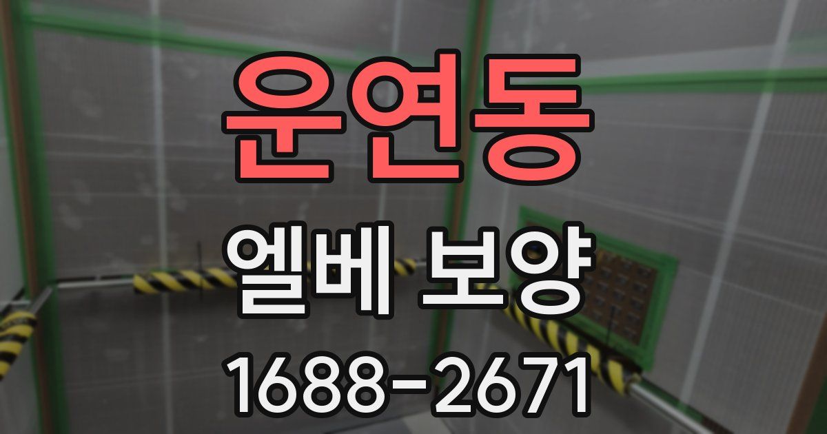 운연동 엘베 보양