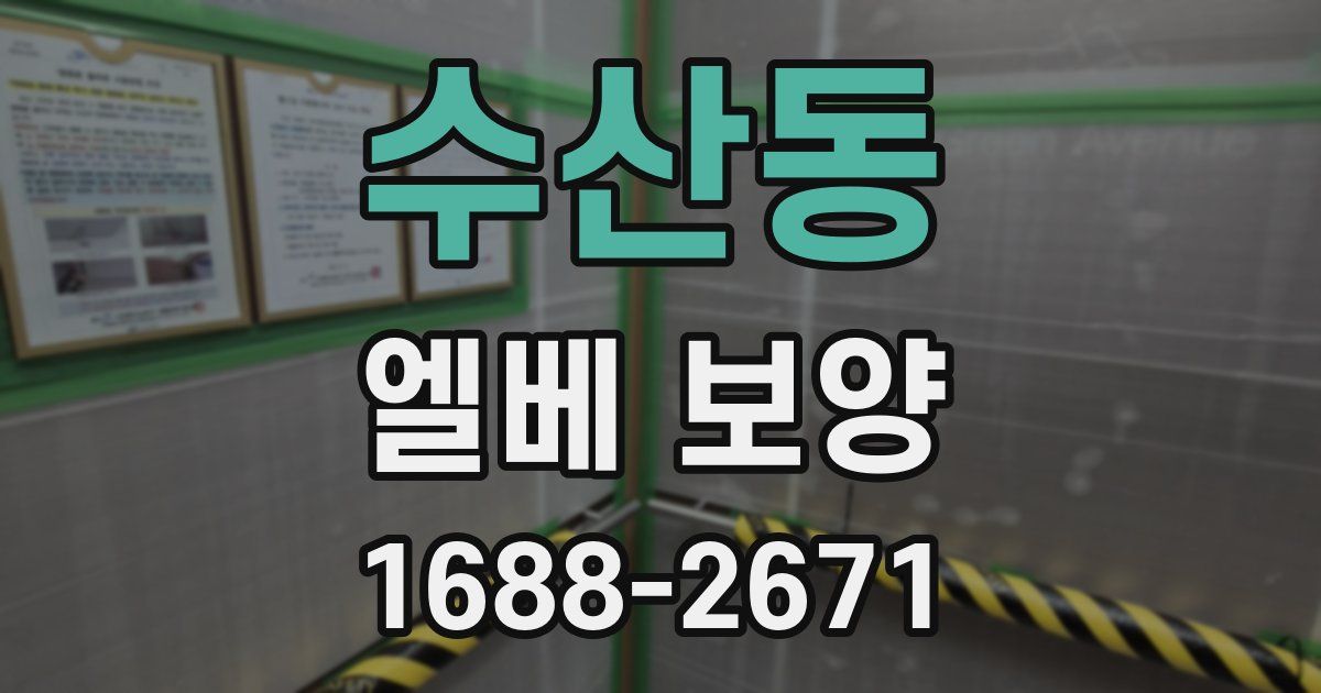 수산동 엘베 보양