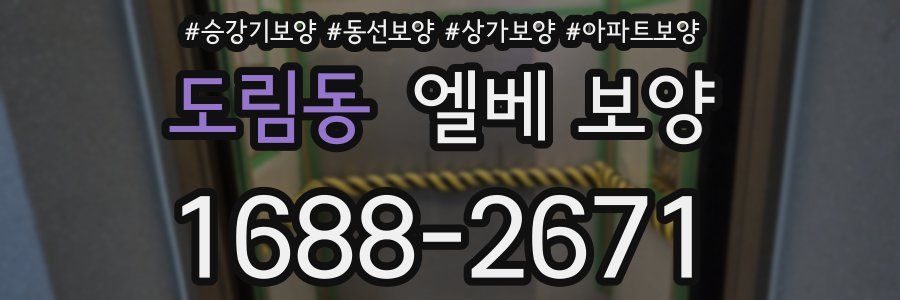 도림동 엘베 보양