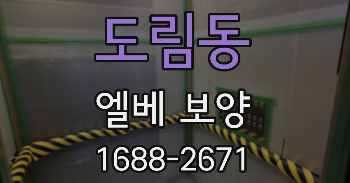도림동 엘베 보양