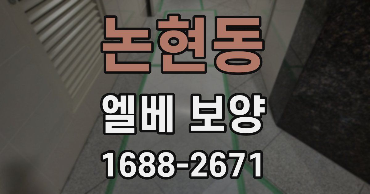 논현동 엘베 보양