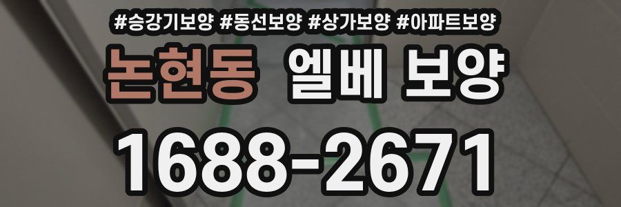논현동 엘베 보양
