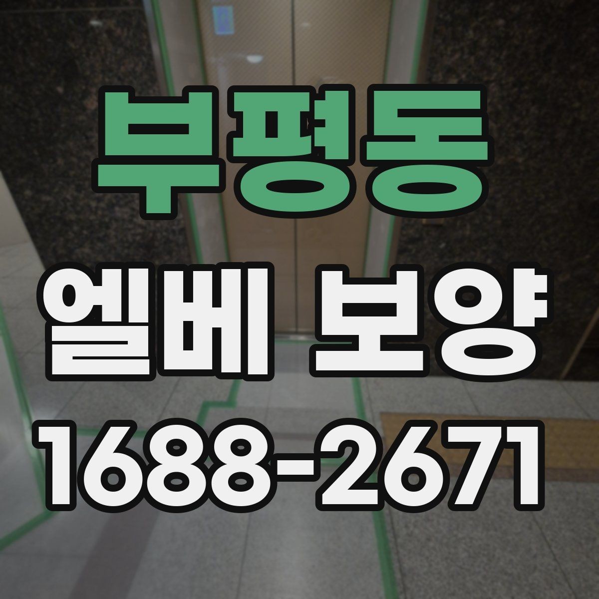 부평동 엘베 보양 보양재 종류별 적용 범위와 선택 기준