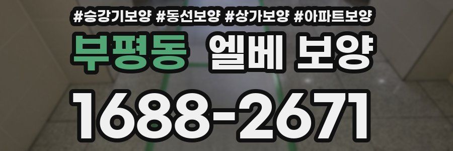 부평동 엘베 보양