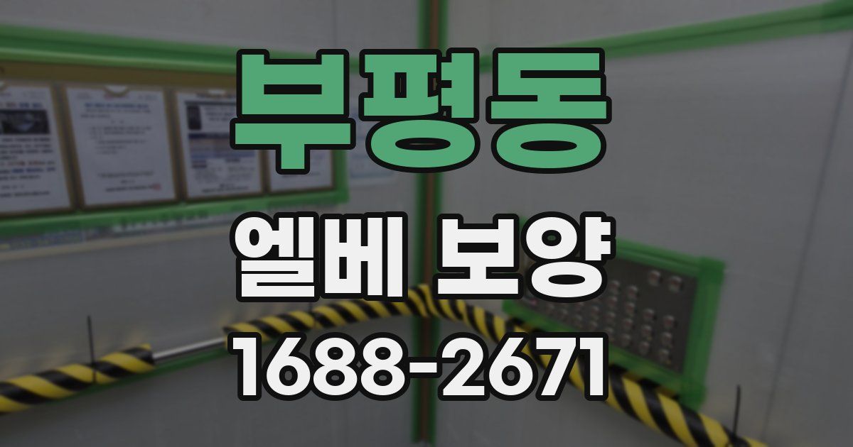부평동 엘베 보양