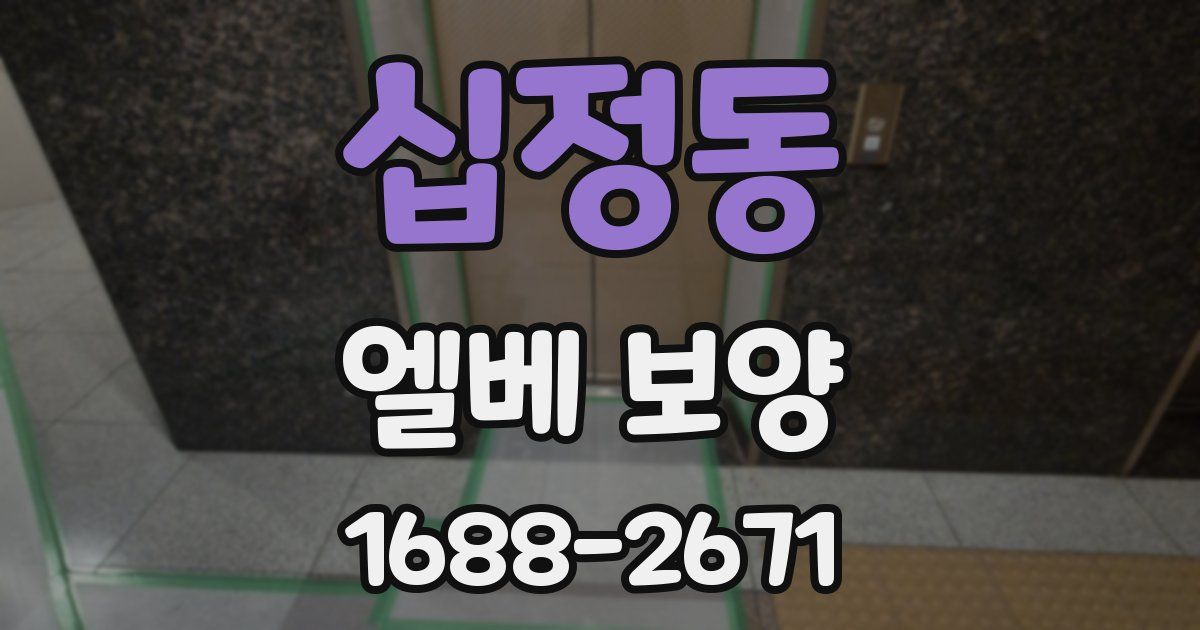 십정동 엘베 보양