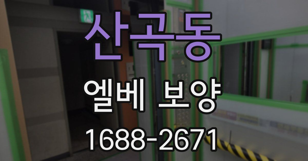 산곡동 엘베 보양