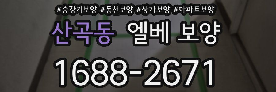 산곡동 엘베 보양