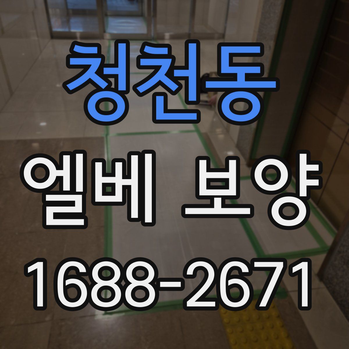 청천동 엘베 보양