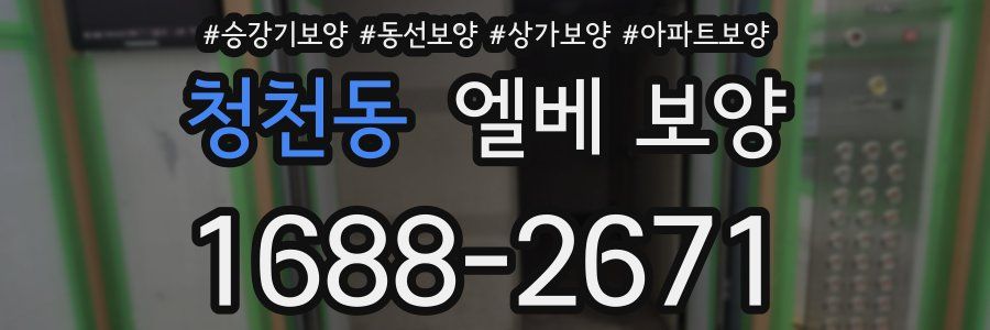 청천동 엘베 보양