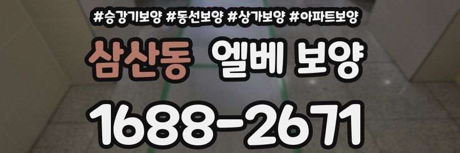 삼산동 엘베 보양