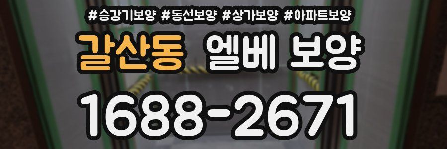 갈산동 엘베 보양