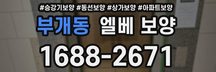 부개동 엘베 보양