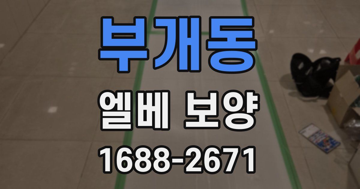 부개동 엘베 보양
