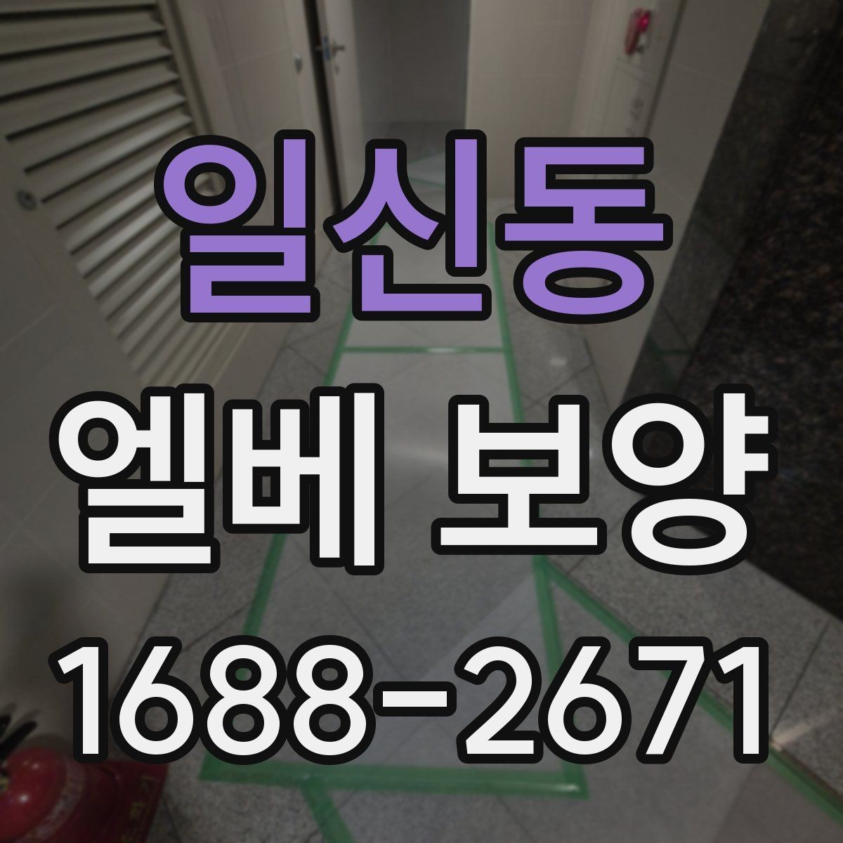 일신동 엘베 보양 사진 기록이 필요한 순간과 관리 방법