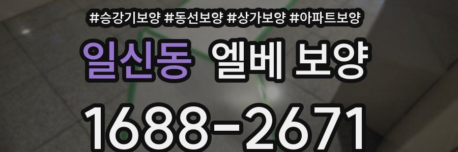 일신동 엘베 보양