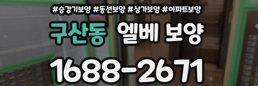 구산동 엘베 보양