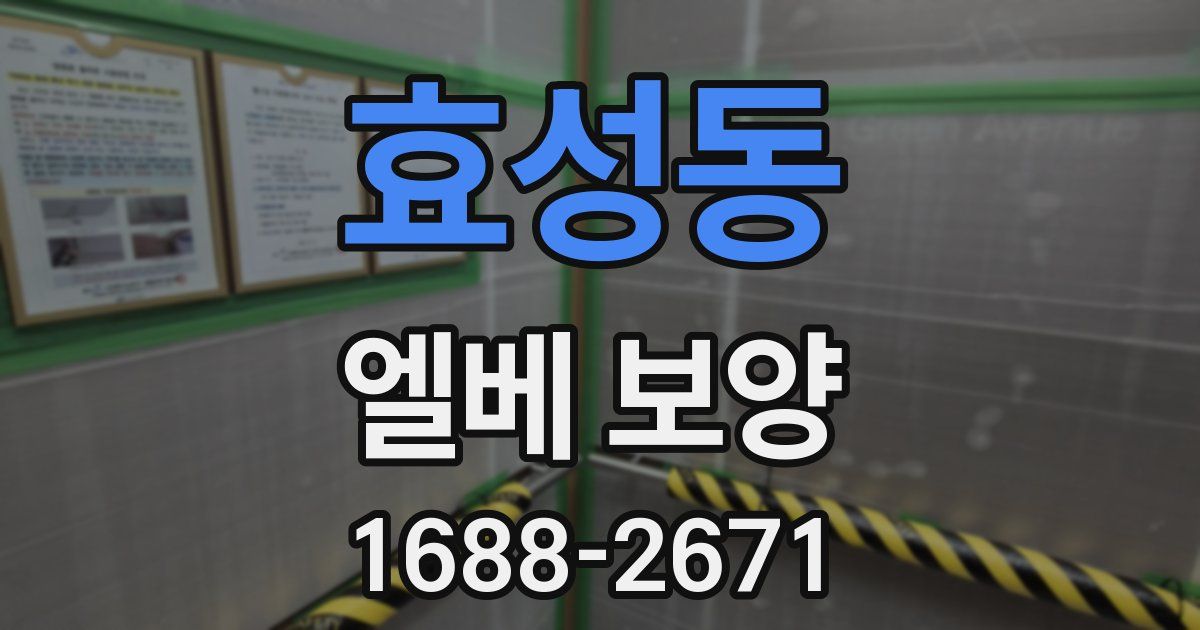효성동 엘베 보양